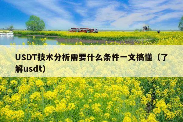 USDT技术分析需要什么条件一文搞懂(了解usdt)