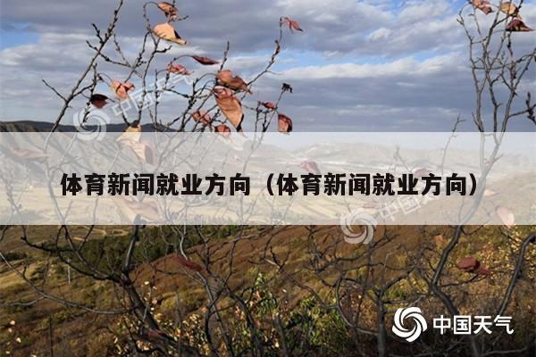 体育新闻就业方向(体育新闻就业方向)