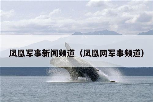 凤凰军事新闻频道(凤凰网军事频道)