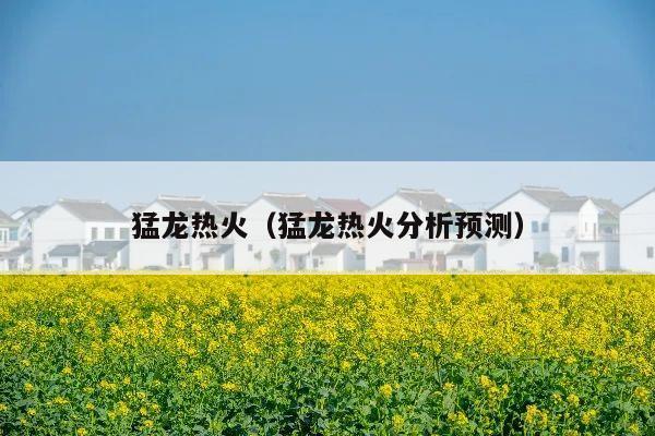 猛龙热火(猛龙热火分析预测)