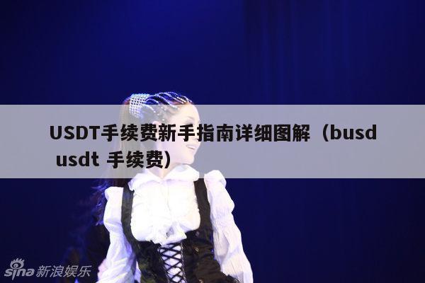 USDT手续费新手指南详细图解(busd usdt 手续费)