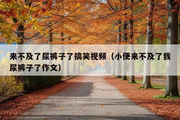 来不及了尿裤子了搞笑视频(小便来不及了我尿裤子了作文)