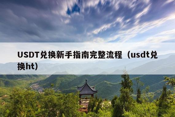 USDT兑换新手指南完整流程(usdt兑换ht)