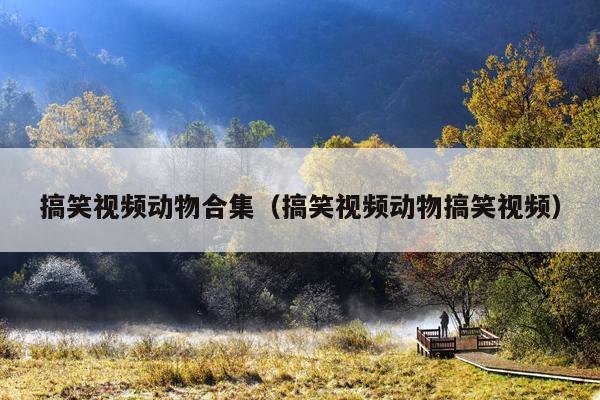 搞笑视频动物合集(搞笑视频动物搞笑视频)