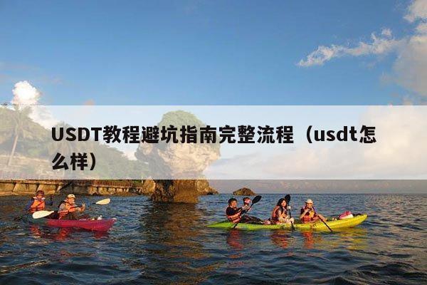 USDT教程避坑指南完整流程(usdt怎么样)