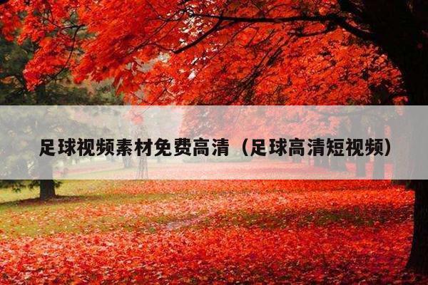 足球视频素材免费高清(足球高清短视频)