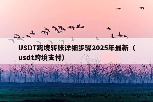 USDT跨境转账详细步骤2025年最新(usdt跨境支付)