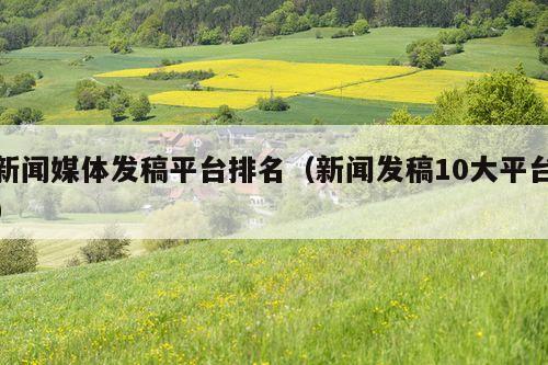 新闻媒体发稿平台排名(新闻发稿10大平台)