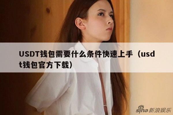 USDT钱包需要什么条件快速上手(usdt钱包官方下载)
