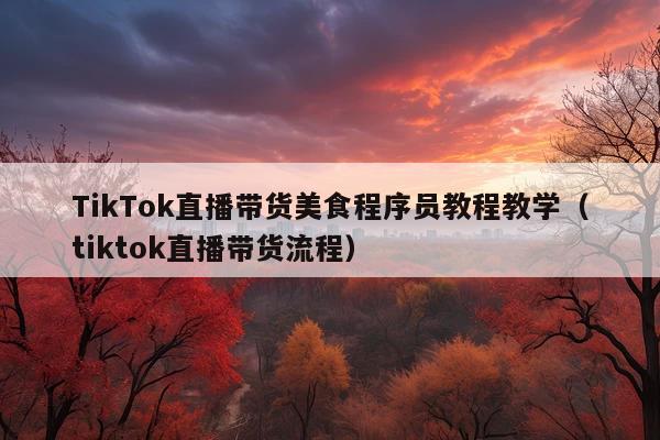 TikTok直播带货美食程序员教程教学(tiktok直播带货流程)