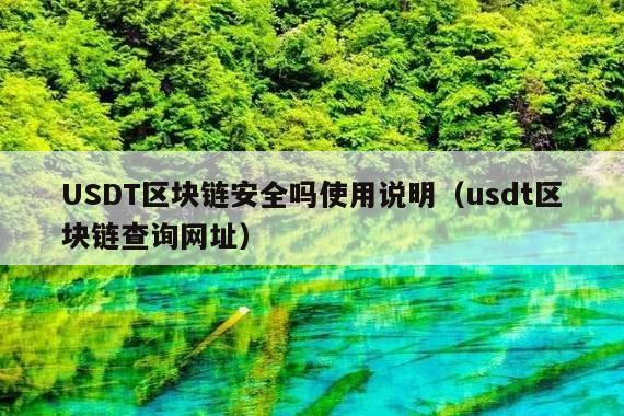 USDT区块链安全吗使用说明(usdt区块链查询网址)