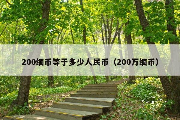 200缅币等于多少人民币(200万缅币)