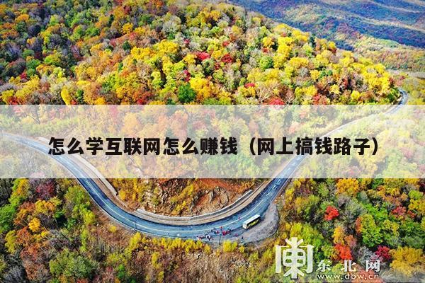 怎么学互联网怎么赚钱(网上搞钱路子)