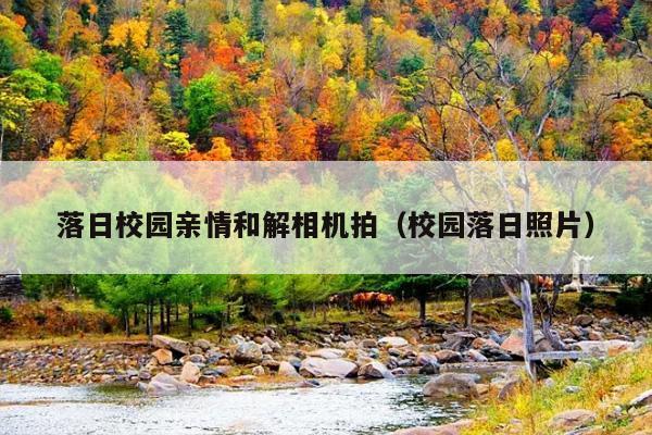 落日校园亲情和解相机拍(校园落日照片)