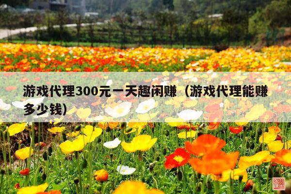 游戏代理300元一天趣闲赚(游戏代理能赚多少钱)