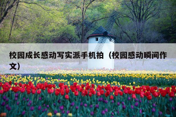 校园成长感动写实派手机拍(校园感动瞬间作文)