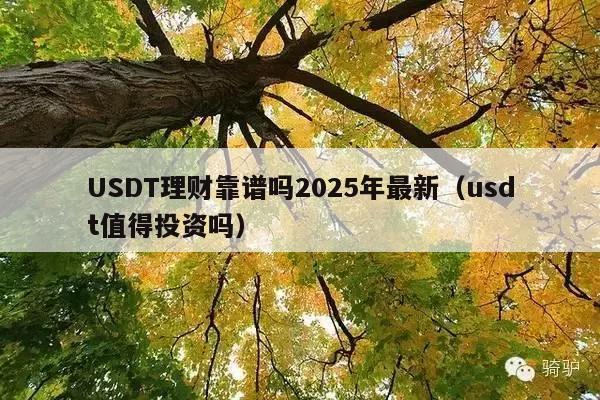 USDT理财靠谱吗2025年最新(usdt值得投资吗)