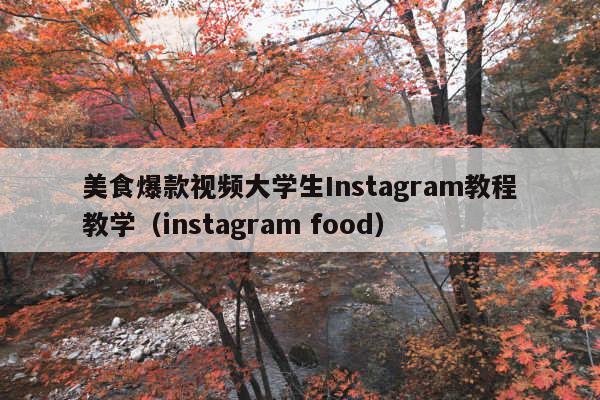 美食爆款视频大学生Instagram教程教学(instagram food)