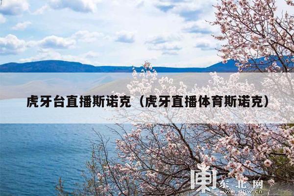 虎牙台直播斯诺克(虎牙直播体育斯诺克)