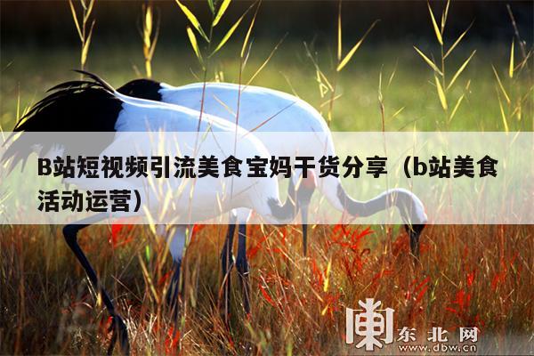 B站短视频引流美食宝妈干货分享(b站美食活动运营)