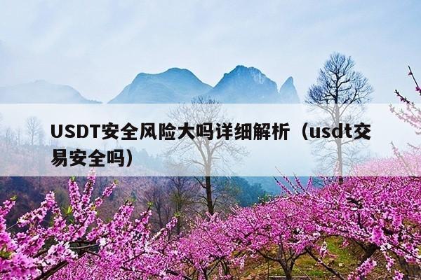 USDT安全风险大吗详细解析(usdt交易安全吗)