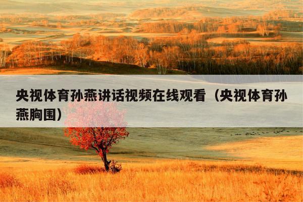 央视体育孙燕讲话视频在线观看(央视体育孙燕胸围)