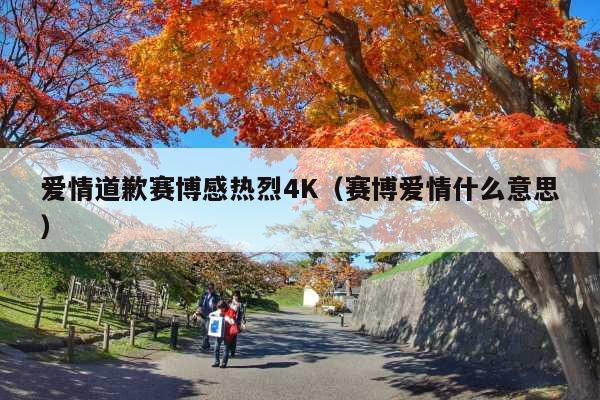 爱情道歉赛博感热烈4K(赛博爱情什么意思)