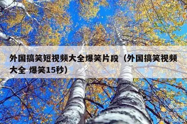 外国搞笑短视频大全爆笑片段(外国搞笑视频大全 爆笑15秒)