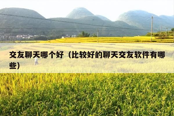 交友聊天哪个好(比较好的聊天交友软件有哪些)