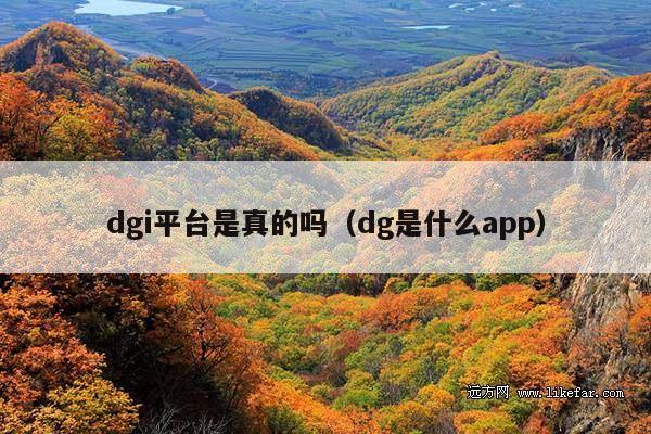dgi平台是真的吗(dg是什么app)